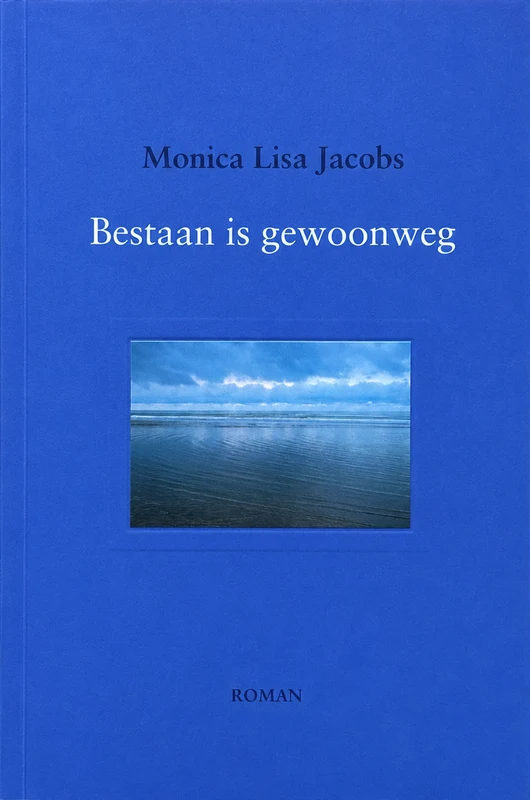 Boek Bestaan is gewoonweg