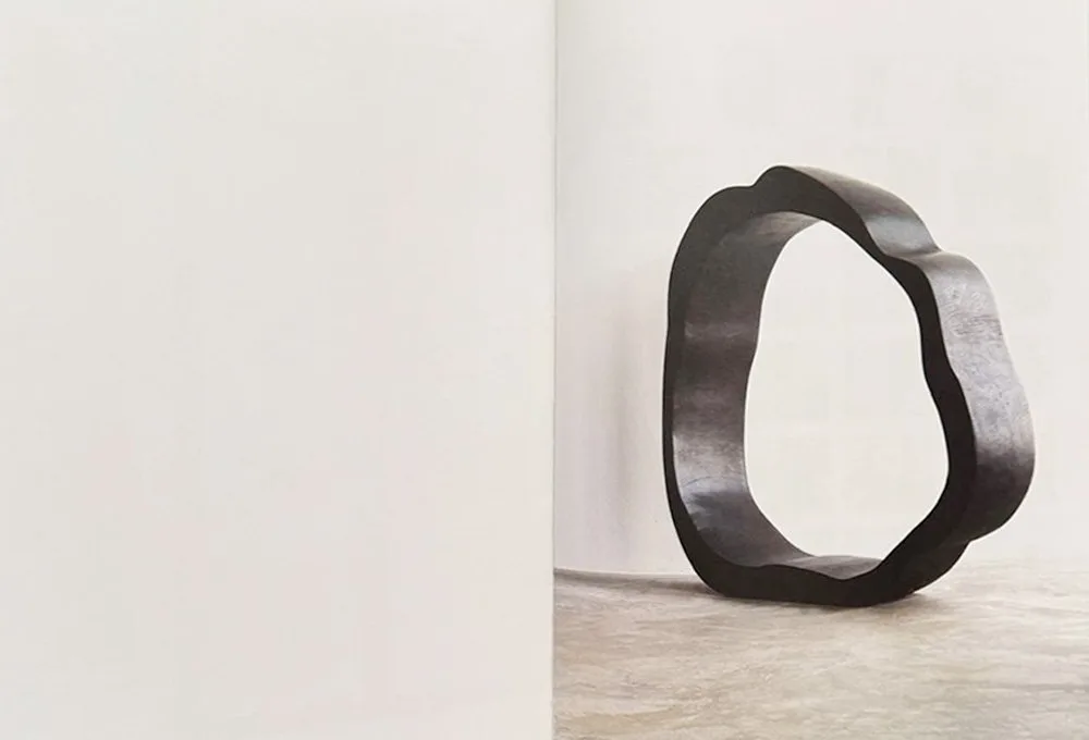 Een binnenwerkpagina van Sculptures Pictures met een aflopende foto