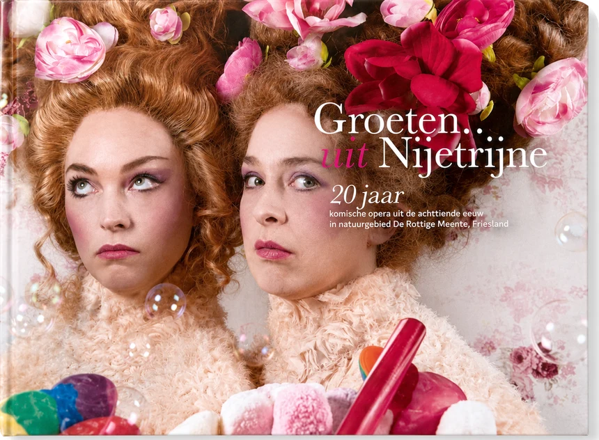Boek Groeten uit Nijetrijne