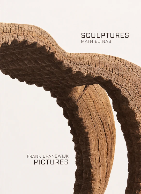Boek Sculptures | Pictures