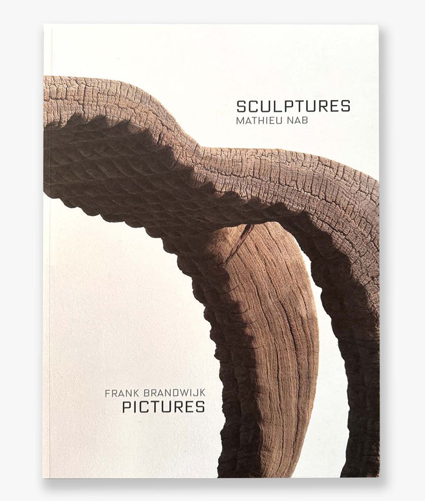 Omslag van het kunstboek van Mathieu Nab — professioneel uitgegeven via Codex, inspirerend voorbeeld voor beeldend kunstenaars die zelf een boek willen uitgeven.