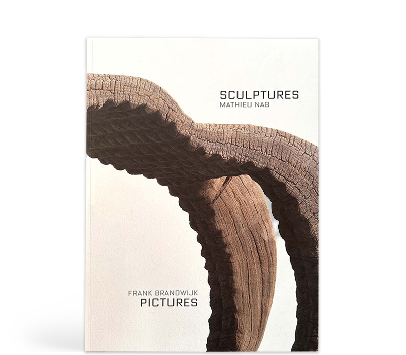 Omslag van het kunstboek van Mathieu Nab — professioneel uitgegeven via Codex, inspirerend voorbeeld voor beeldend kunstenaars die zelf een boek willen uitgeven